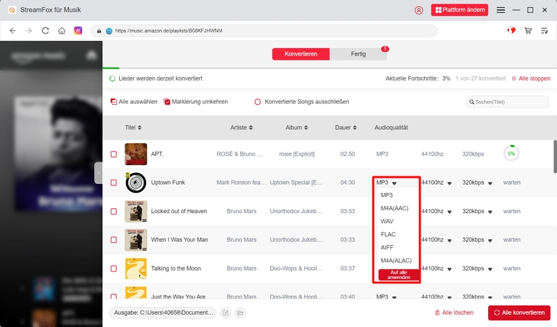 Wählen Sie das gewünschte Ausgabeformat