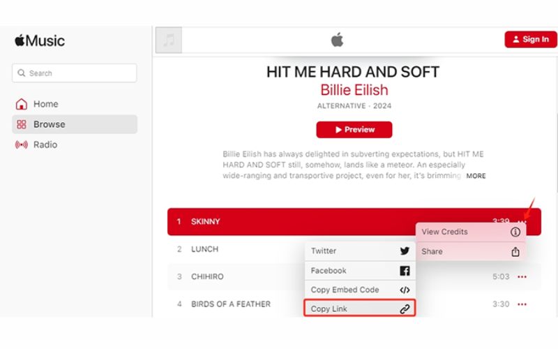 Apple Music-Freigabelink kopieren | Apple Music-Wiedergabelisten als MP3 herunterladen