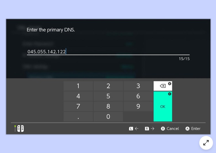 change primary dns | netflix auf switch