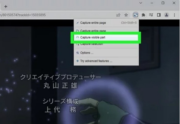 Sichtbaren Bereich erfassen | Wie man Netflix screenshotet