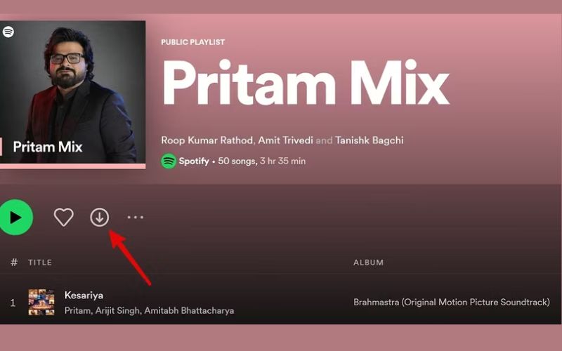 Klicken Sie auf das Download-Symbol | Laden Sie Spotify-Wiedergabelisten offline auf Ihr Telefon oder Ihren Computer herunter