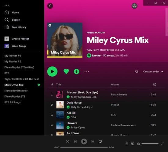 Abspielen einer heruntergeladenen Spotify-Playlist auf dem Desktop | spotify playlisten wiederherstellen