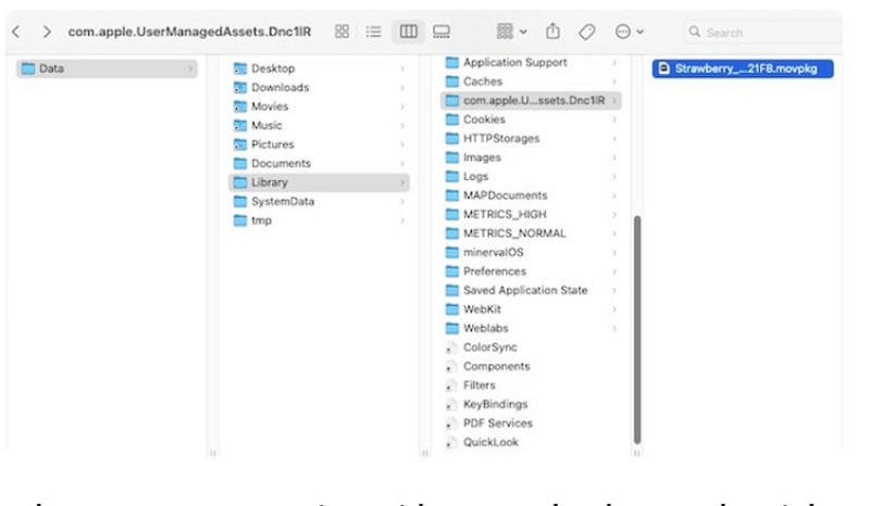 Video herunterladen | amazon prime video auf pc herunterladen