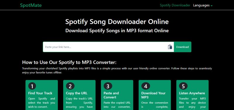 online music downloader | Spotify Musik herunterladen auf PC