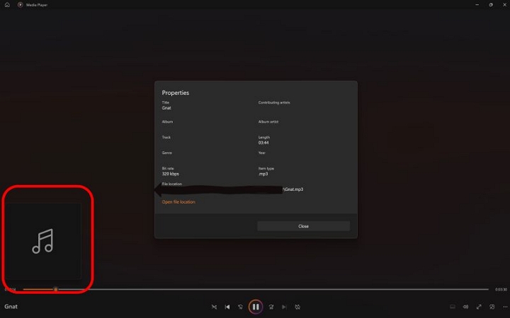 downloaded Spotify tracks | Spotify Musik herunterladen auf PC