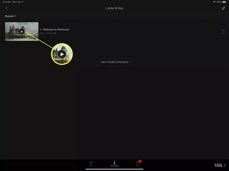 eigene Inhalte finden | heruntergeladene Netflix-Filme im Flugzeug ansehen