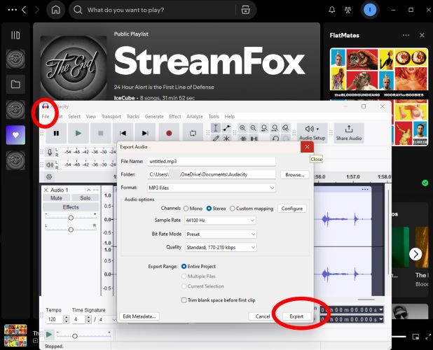 choose Export | Spotify Musik herunterladen auf PC