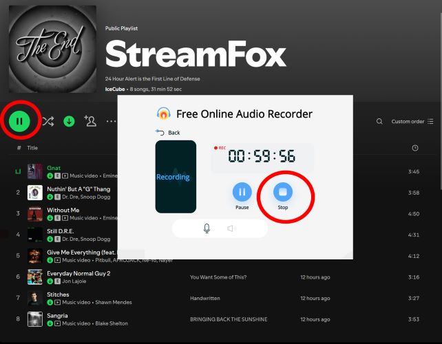 hit Start Recording | Spotify Musik herunterladen auf PC