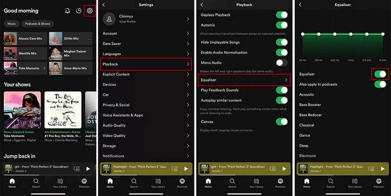 spotify vs youtube music | spotify equalizer