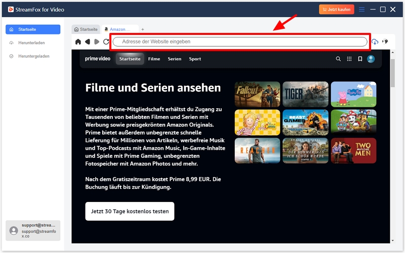 Videolink direkt einfügen| lade Amazon-Video auf MP4 herunter