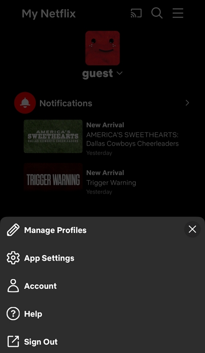 App-Einstellungen | So laden Sie Filme auf Netflix herunter
