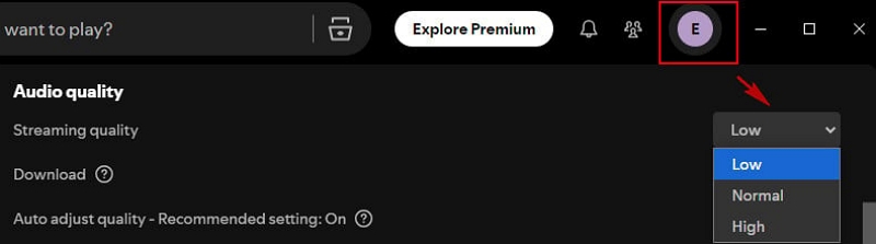Audioqualität anpassen | spotify stoppt wiedergabe