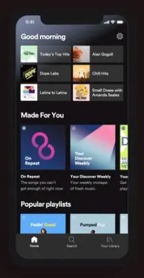 Spotify Mobile App starten | Spotify Playlists zusammenfügen