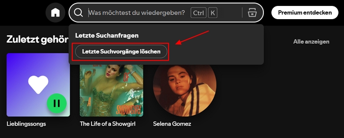  Spotify-Suchverlauf löschen auf pc und mac