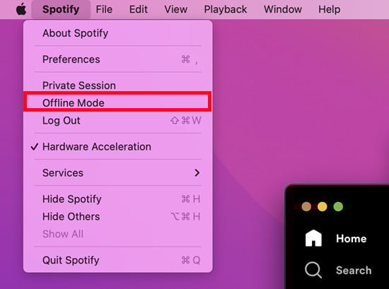 Offline-Modus von Spotify auf dem Mac | spotify autoplay deaktivieren