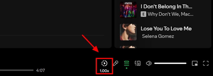 1x Schaltfläche neben Songtext | spotify wiedergabegeschwindigkeit