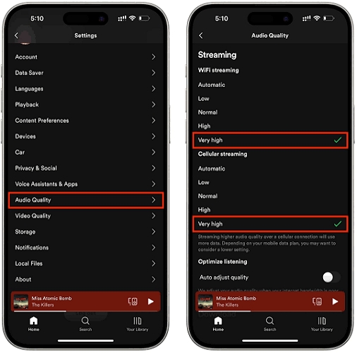 Spotify Connect