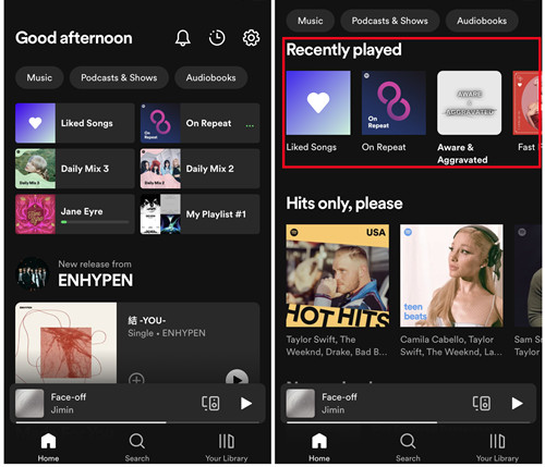 spotify löschen auf einem mobilen bildschirm gezeigt | spotify verlauf löschen