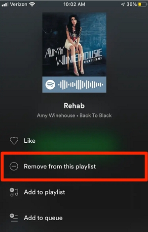 Songs mit lokalen Dateien aus der Playlist entfernen