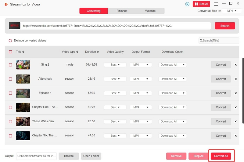alle konvertieren | netflix downloader
