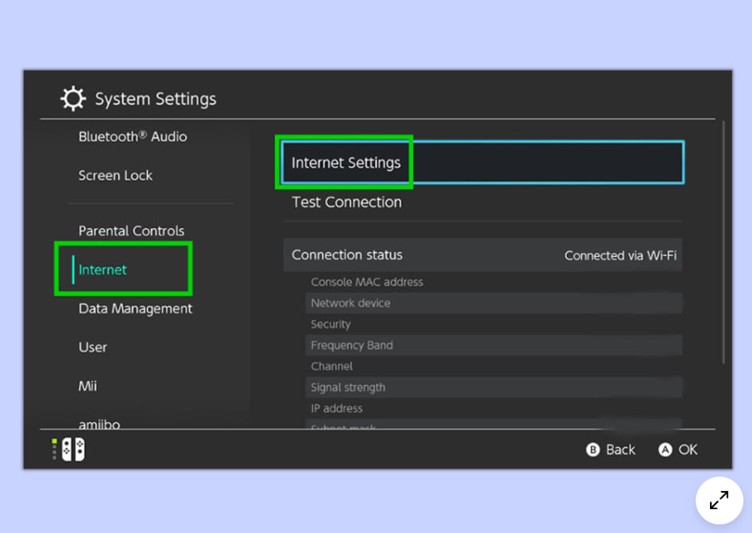 Internet Settings | netflix auf switch