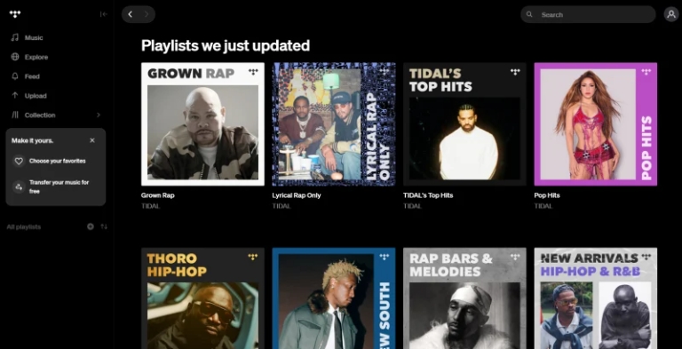 Tidal Musik