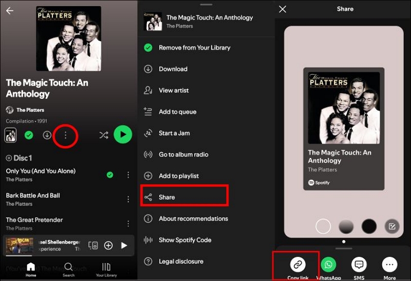 Spotify-Song-Link kopieren | 320kbps Spotify Downloaders