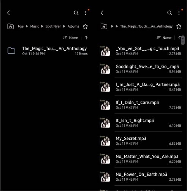 Ordner mit gespeicherten Songs SpotiFlyer | 320kbps Spotify Downloaders