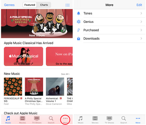 tippe auf „Gekauft | Apple Music-Downloadlimit“