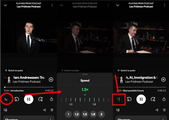 Hörbuchgeschwindigkeit ändern | spotify wiedergabegeschwindigkeit