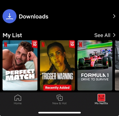mein Netflix | So laden Sie Filme auf Netflix herunter