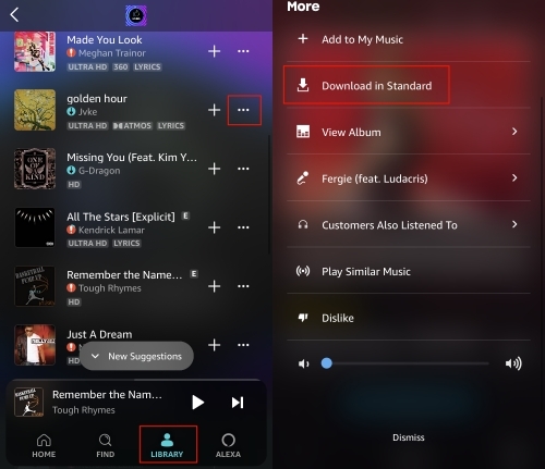 Amazon Music-Alben auf das iPhone herunterladen | Alben von Amazon Music herunterladen