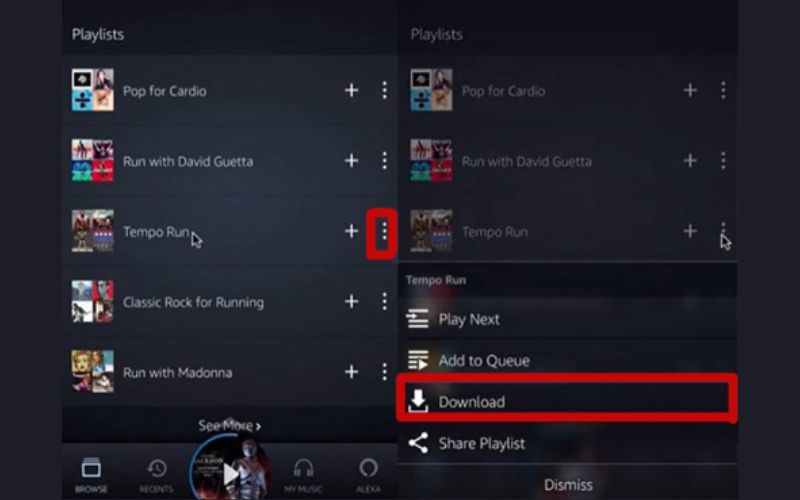 Wählen Sie „Download | Amazon Music auf SD-Karte herunterladen“