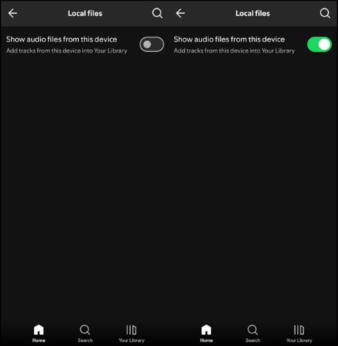 Audiodateien anzeigen Android | Lokale Dateien auf Spotify herunterladen
