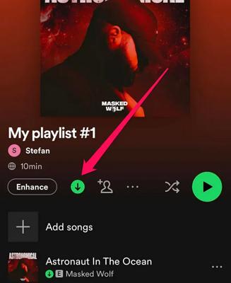 Spotify-Songs herunterladen | Songs auf Spotify mithilfe mobiler Daten herunterladen