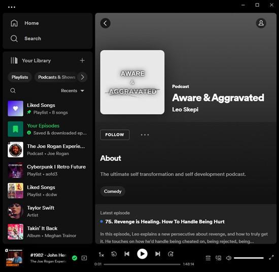 Podcasts auswählen | download spotify podcast