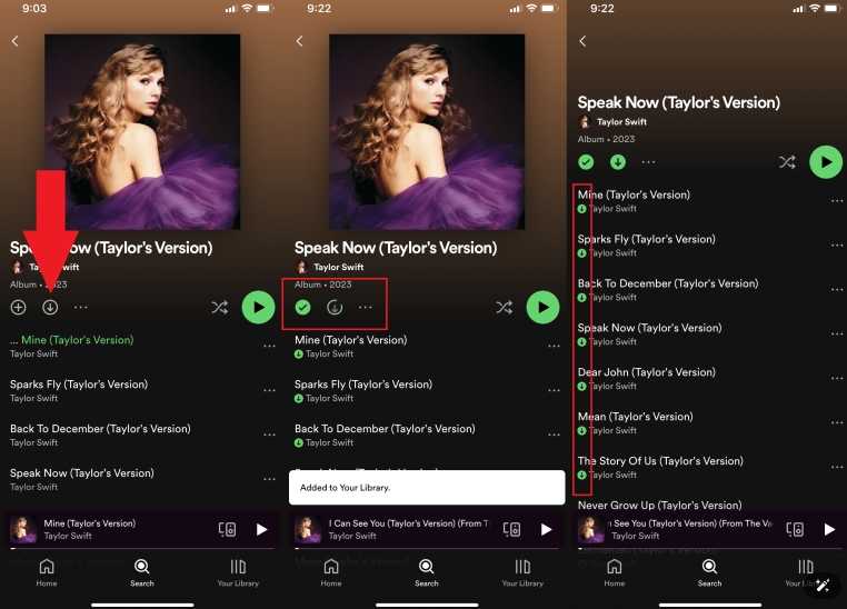 Spotify-Songs mit Premium herunterladen | Spotify-Songs als MP3 mit 320 Kbit/s herunterladen