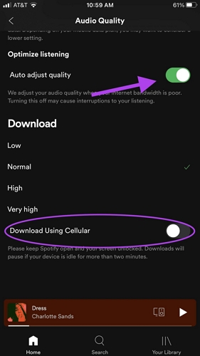 Download über Mobilfunk aktivieren | Songs auf Spotify über Mobilfunkdaten herunterladen