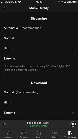 Wählen Sie Musikqualität | Laden Sie Spotify-Songs als MP3 mit 320 Kbps herunter