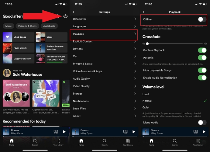 Offline-Modus aktivieren Spotify Mobile | Spotify offline hören
