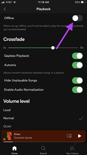 Offline einschalten | Songs auf Spotify unter Verwendung mobiler Daten herunterladen