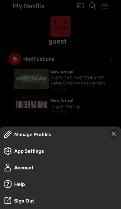 App-Einstellungen | So laden Sie Filme auf Netflix herunter