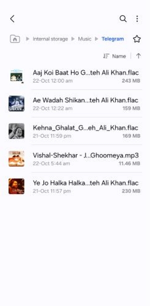 Telegram-Ordner suchen | 320kbps Spotify Downloaders