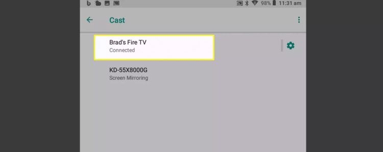 Verlust von Fire TV | Spotify auf dem Fire TV Stick