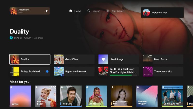 Spotify TV-Oberfläche | Spotify auf dem Fire TV Stick