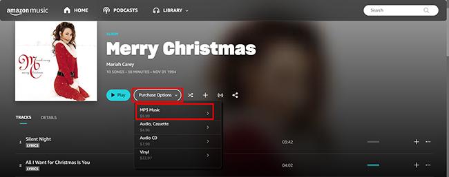 MP3-Musik auswählen | Amazon Music auf iTunes oder Apple Music herunterladen