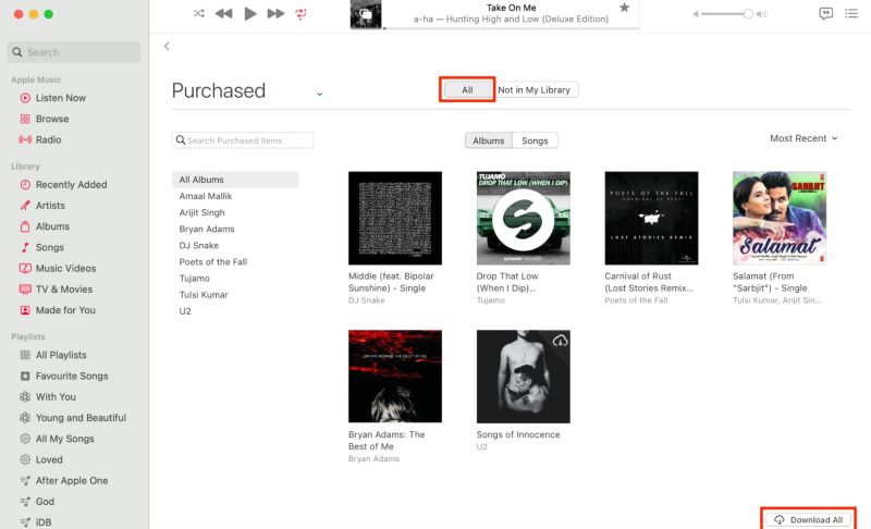 Tippen Sie auf „Alle herunterladen“ | Laden Sie Apple Music-Songs auf den MP3-Player herunter
