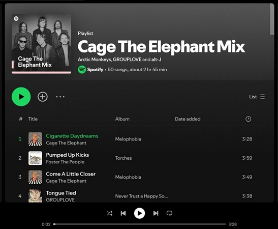 Playlists herunterladen | SpotifyDown