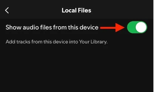 aktiviere Audiodateien von diesem Gerät anzeigen | Spotify in WAV