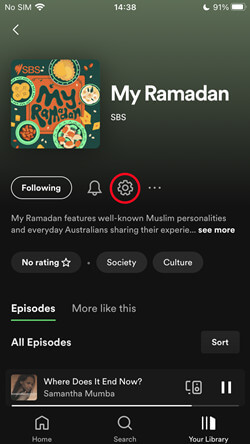 Tippen Sie auf das Zahnradsymbol | download spotify podcast